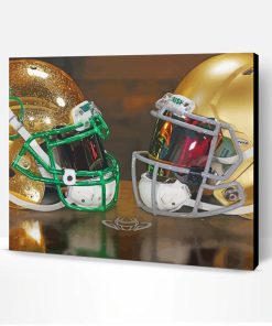 Notre Dame Helmets Paint By Number