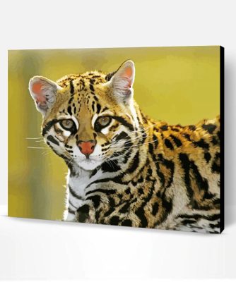 Ocelot Animal Paint By Number