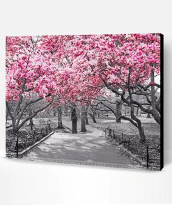 Pink Blossom In Black And White Paint By Number