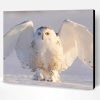 Snowy White Owl Paint By Number