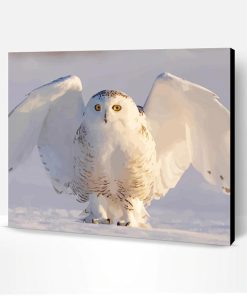 Snowy White Owl Paint By Number