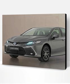 Toyota Camry Car Paint By Number