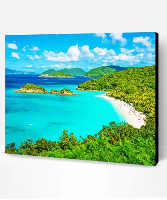 US Virgin Islands Beach View Paint By Number