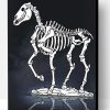 White Skeleton Horse Paint By Number