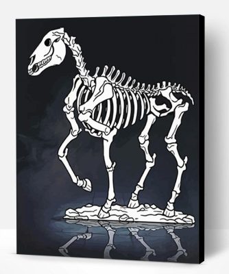 White Skeleton Horse Paint By Number