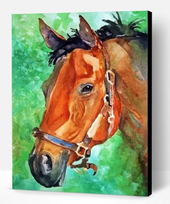 Aesthetic Bay Horse Paint By Number