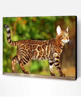 Aesthetic Cat Bengal Paint By Number