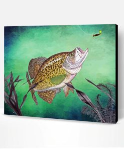 Aesthetic Crappie Fish Paint By Number