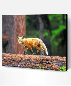 Aesthetic Fox In Forest Paint By Number