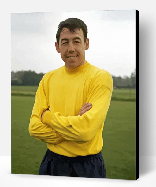 Aesthetic Gordon Banks Paint By Number