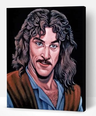 Aesthetic Inigo Montoya Illustration Paint By Number