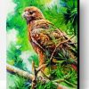Aesthetic Red Tail Hawk Art Paint By Number
