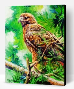 Aesthetic Red Tail Hawk Art Paint By Number