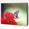 Aesthetic Butterfly On Red Spider Lily Paint By Number