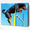 Athletic Sport Dog Paint By Number