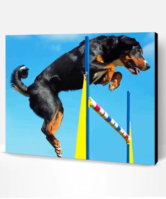 Athletic Sport Dog Paint By Number