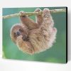 Baby Sloth In A Tree Paint By Number