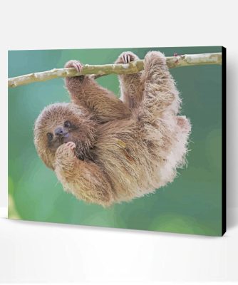 Baby Sloth In A Tree Paint By Number