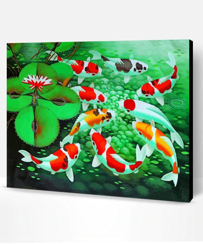 Beautiful 9 Koi Fish Paint By Number