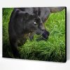Big Black Cat In Grass Paint By Number