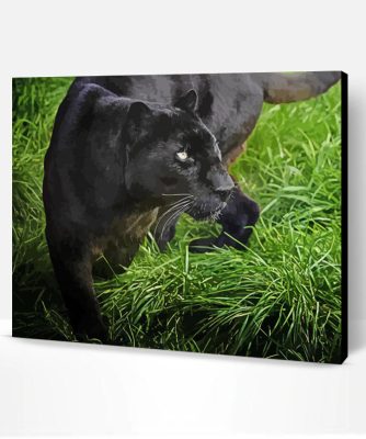 Big Black Cat In Grass Paint By Number