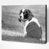 Black And White Sitting Dog Paint By Number