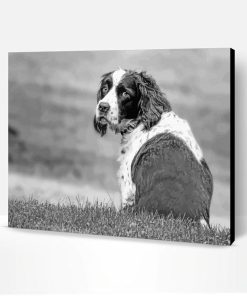 Black And White Sitting Dog Paint By Number