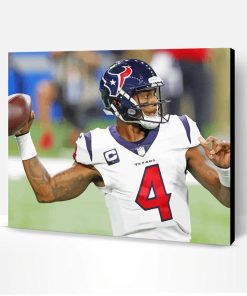 Houston Texans Player Paint By Number
