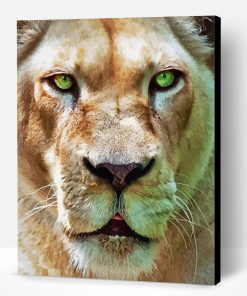 Lion With Green Eyes Paint By Number