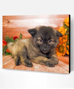 Male Keeshond Puppy Paint By Number