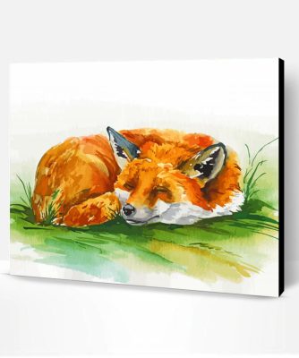 Sleeping Fox Watercolor Paint By Number