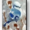 Snow Bird Paint By Number