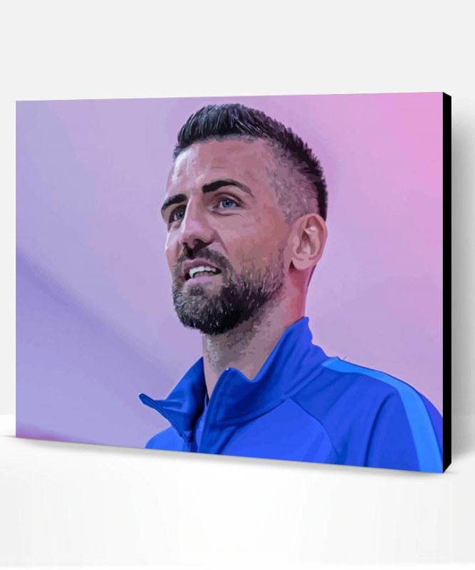 Vedad Ibisevic Football Player Paint By Number