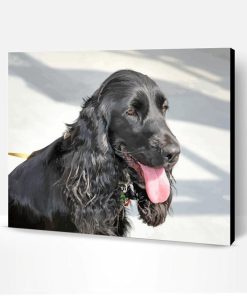Black Cocker Spaniel Paint By Number