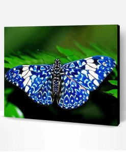 Blue And White Butterfly Paint By Number
