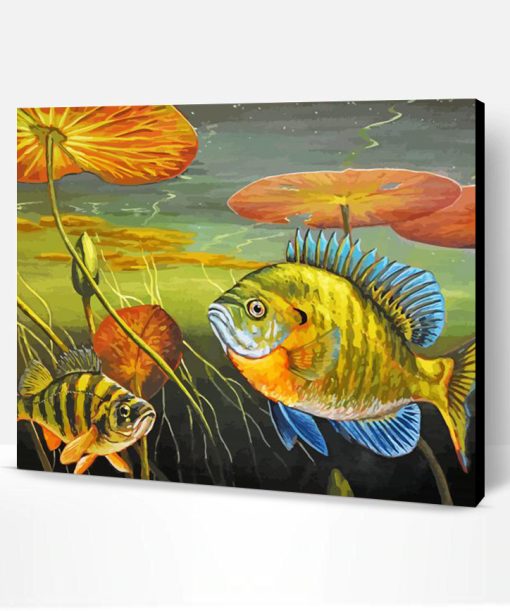 Bluegill Fish Underwater Paint By Number