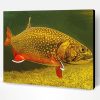 Brook Trout Underwater Paint By Number