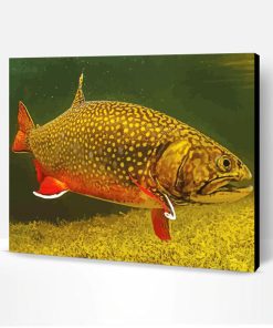 Brook Trout Underwater Paint By Number
