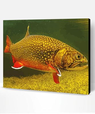 Brook Trout Underwater Paint By Number