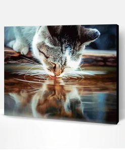 Cat Drinking Water Paint By Number