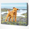 Lakeland Terrier Dog Paint By Number