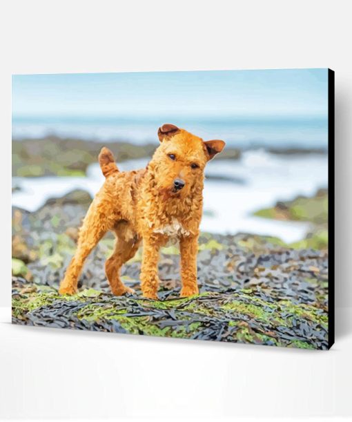 Lakeland Terrier Dog Paint By Number