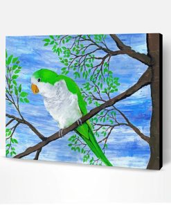 Quaker Parrot Birds Paint By Number