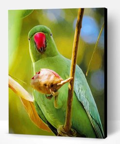 Rose Ringed Parakeet Bird Paint By Number