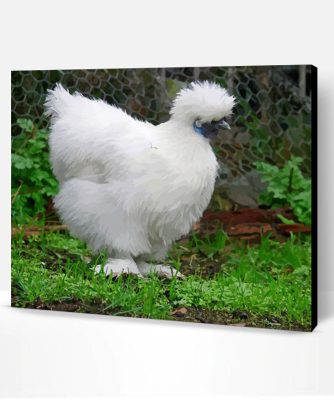 Silkie Bird Paint By Number