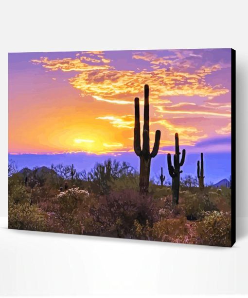 Southwest Desert Scene Sunset Paint By Number