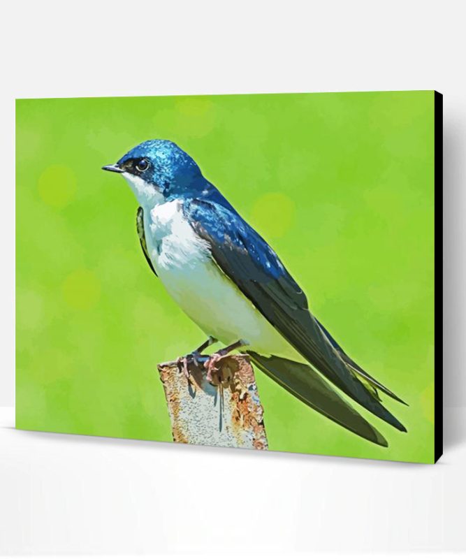 Swallow Bird Paint By Number