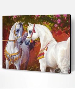 White Arabian Horses Paint By Number
