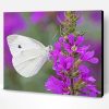 White Butterfly On Purple Flowers Paint By Number