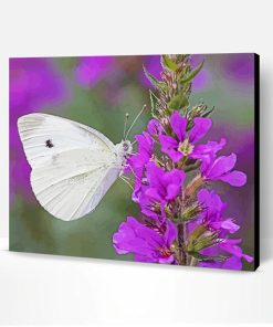 White Butterfly On Purple Flowers Paint By Number